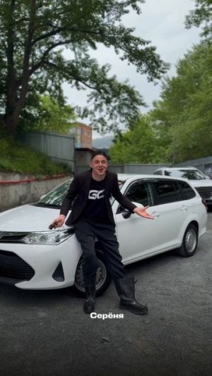 Toyota Corolla Fielder