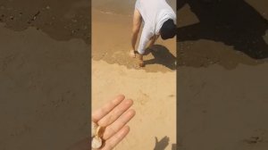 06-06-2026Хайнань.Санья по волнам  моей памяти....