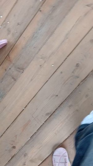 Мой домик на дереве😍😍😍