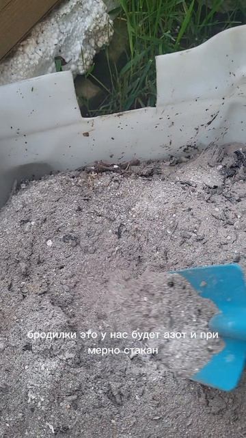 ОБЯЗАТЕЛЬНАЯ ПОДКОРМКА ДЛЯ КАБАЧКОВ