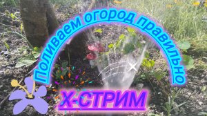 06-06-2026 Начинаем утро с полива огорода.Утренний релакс в деревне Красная воля Сочи.