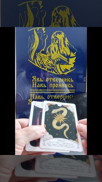 Совет дня🐸 6 июня💖#новинка#семья#работа#татьянаясная#дом смотреть онлайн