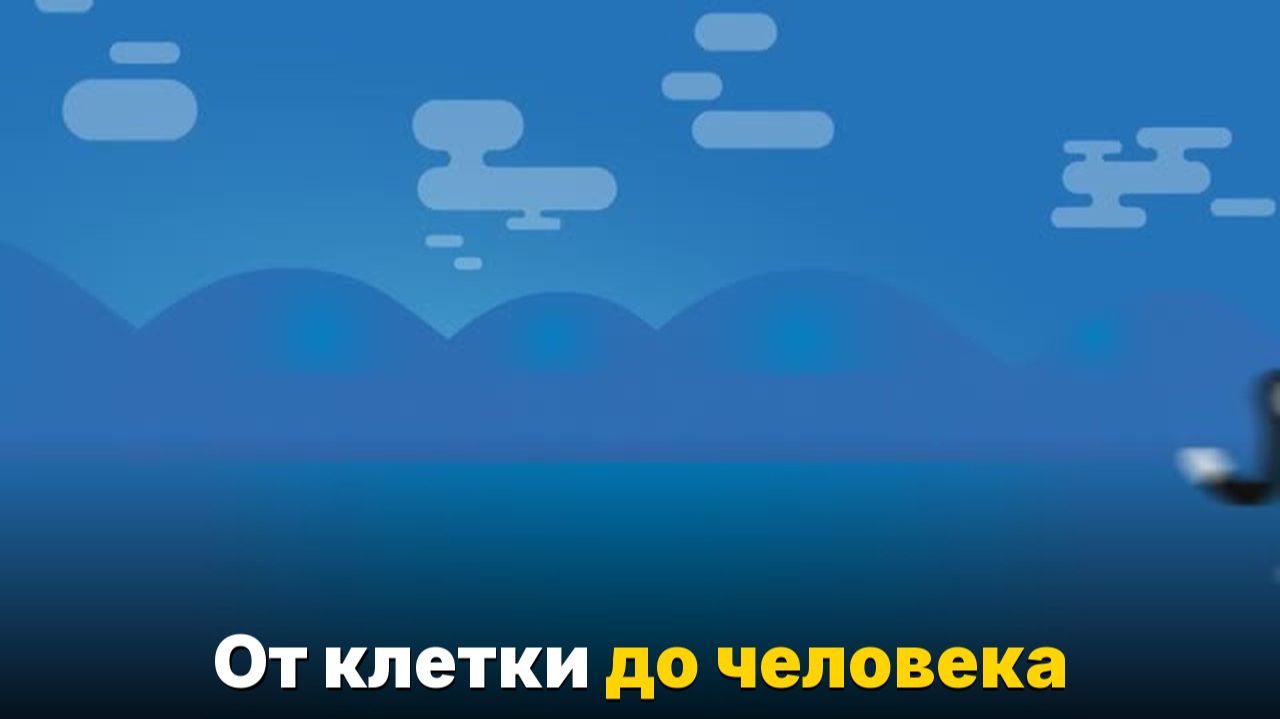 Как на самом деле работает эволюция