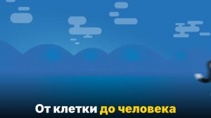 Как на самом деле работает эволюция