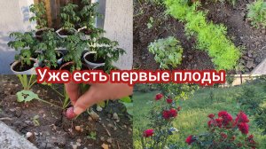 Семья из Мариуполя. Дворовые дела.#мариуполь