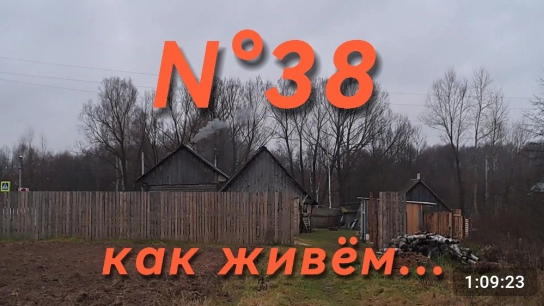 N°38. НА ЧТО ЖИВЁМ || ЗАРАБОТОК В ДЕРЕВНЕ