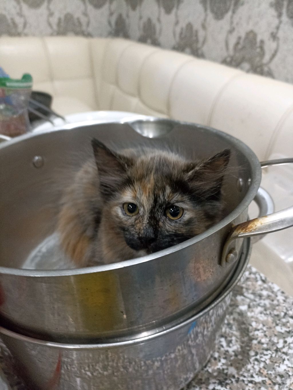 рассказы смотреть онлайн