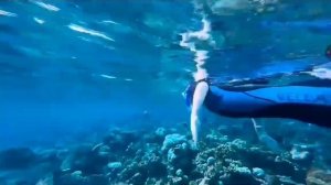 Примера клипа Марьяна локерь «На моря охота»