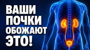7 Продуктов, в Которые Влюблены Ваши Почки (Побалуйте Их)