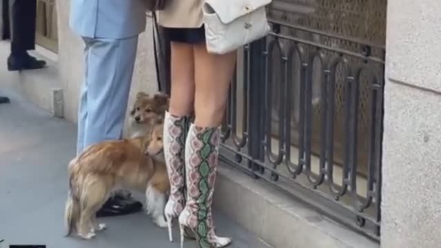 🌆 STREET STYLE: МОДНЫЕ ОБРАЗЫ И ВДОХНОВЕНИЕ НА КАЖДЫЙ ДЕНЬ 👗 смотреть онлайн
