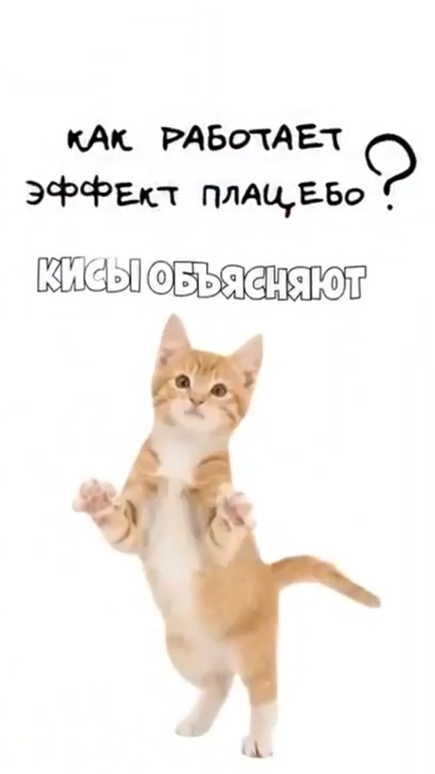 Как работает эффект плацебо? смотреть онлайн