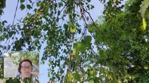 Сибирь!Вот и лето пришло!Отдыхаю от тяжелой земляной работы.