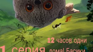Басики остались одни дома на 12 часов❓