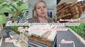 VLOG🇩🇪: ЭТО ОЧЕНЬ ВКУСНО 😳👍🏻КУПИЛА ХОСТУ/ РАБОТА НА УЧАСТКЕ/ РАЗРОВНЯЛИ КАМНИ🏠