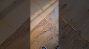 1000061194.mp4 (Собака слушает об укладке пола из листов фанеры на 2-ом этаже в доме А-фрейм)