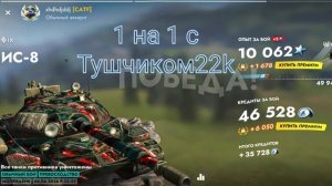 Играю в tanks blitz с тушчиком22k