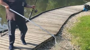 Утро на водоёме