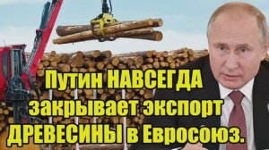 Путин НАВСЕГДА закрывает экспорт древесины в Евросоюз ЖЁСТКИЙ удар по ЕС