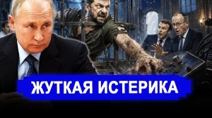 Путин отказался спасать Европу: пусть Зеленский вас уничтожит.