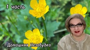 1 часть. СРОЧНО❗️Интрига раскрыта❗️За зубы кто деньгами, кто конфетами и бухлом❗️