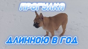 Прогулка длинною в год.