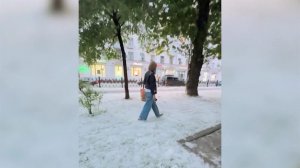 Российские регионы утопают в тополином пуху.