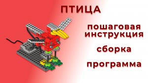 Птица | Lego WeDo 9580 | Пошаговая инструкция, сборка и программа