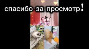 тест 2