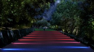 Воронцовский дворец подсветка прогулочной зоны