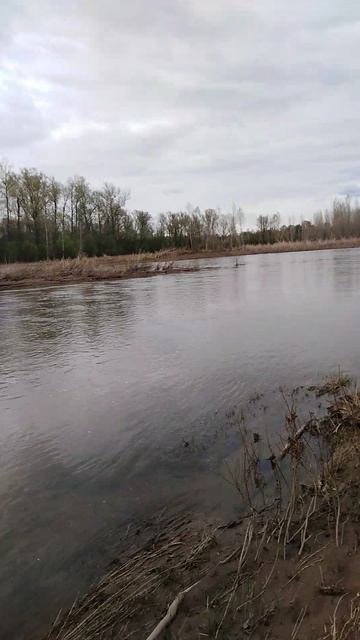 ✔Рыбалка🎣 на реке🌊. Часть 6✔