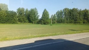 Опоздала на автобус / красота 🪻