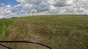 Окрестности Белозерок 07.06.2026