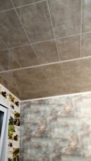 Кошки охотятся за бабочкой (часть 1)