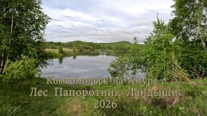 Комсомольск-на-Амуре. Лес. Папоротник. Ландыши. 2026