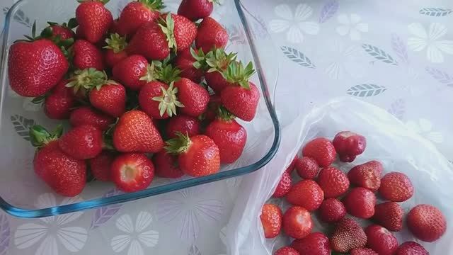 ЯГОДНОЕ СЧАСТЬЕ! ВКУСНЕЙШИЙ ОБЕД!