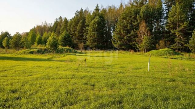 4879838 смотреть онлайн