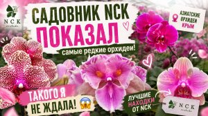 Секреты от садовника NCK. #никаазиатская #nck #орхидеи #цветы