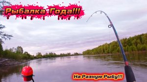 Вот это Рыбалка на ПОПЛАВОК 2026!!! РЫБА КЛЮЁТ ОДНА ЗА ОДНОЙ!!!