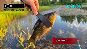 Херабуна. Вечерний релакс.