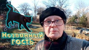 ОБЗОР УЧАСТКА