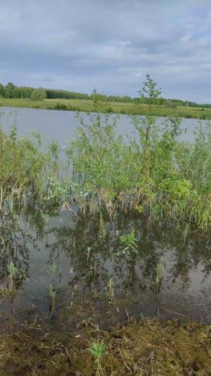 Рыбалка 🎣