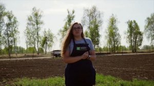 Как правильно закопать сидераты весной.