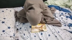 челулирус читает сказку