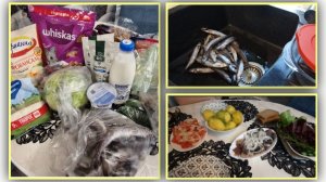 Съездили за железом и продуктами. Солю свежую мойву. Самый простецкий ужин