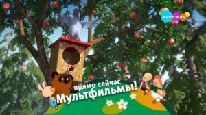 MOV_20260607_231629_786