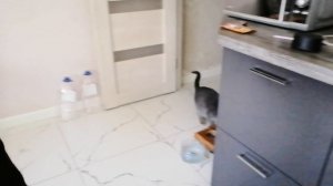 VID_20260607_120701.mp4