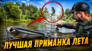 ВОЛКЕР.😱ПОСЛЕ ПРОСМОТРА ЭТОГО ВИДЕО ,ТЫ ПОБЕЖИШЬ ЗА НИМ В МАГАЗИН.