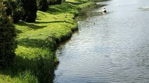 г.Шаховская ,Московская область,обзор,прогулка.