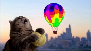 🐱☀️ КОШКА ПРОСЫПАЕТСЯ: Самое милое утреннее приключение для хорошего настроения!