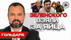 ШЕЛЕCТ. ЭТО ШОУ! Зеленский ГЛАВНЫЙ ПРОТИВНИК мира. Гольдарб. ПИСЬМО ШВОНДЕРА ПУТИНУ